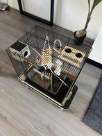 Vogelkooi met bijbehorende spullen, Dieren en Toebehoren, Ophalen of Verzenden, Metaal, Vogelkooi