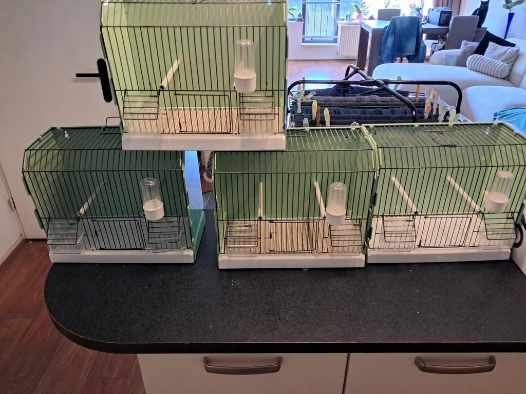 Tt kooitjes, Ophalen of Verzenden