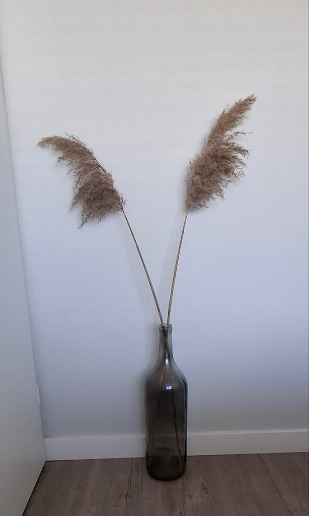 Fles van glas + pluimen, Ophalen, Overige kleuren, 50 tot 75 cm, Glas