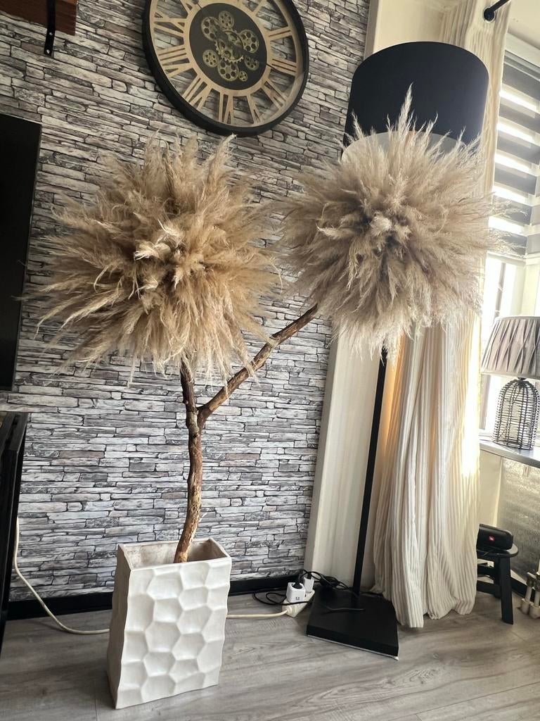 Pampas boom met 2 bollen, Ophalen, Binnen, Natuurlijk materiaal, Beige