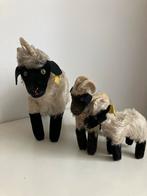 Drie Steiff heideschapen met Mohair Vacht, Ophalen of Verzenden, Gebruikt, Overige typen, Steiff