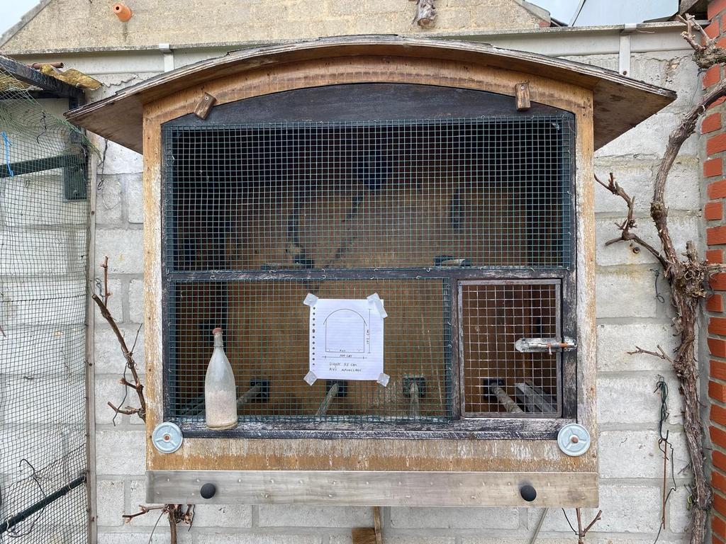 Vogel kooi, Ophalen, Metaal, Vogelkooi