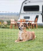 Honden hek schapen hek omheiningnet petnet groot, Ophalen, Zo goed als nieuw, 110 cm of meer, 65 tot 100 cm