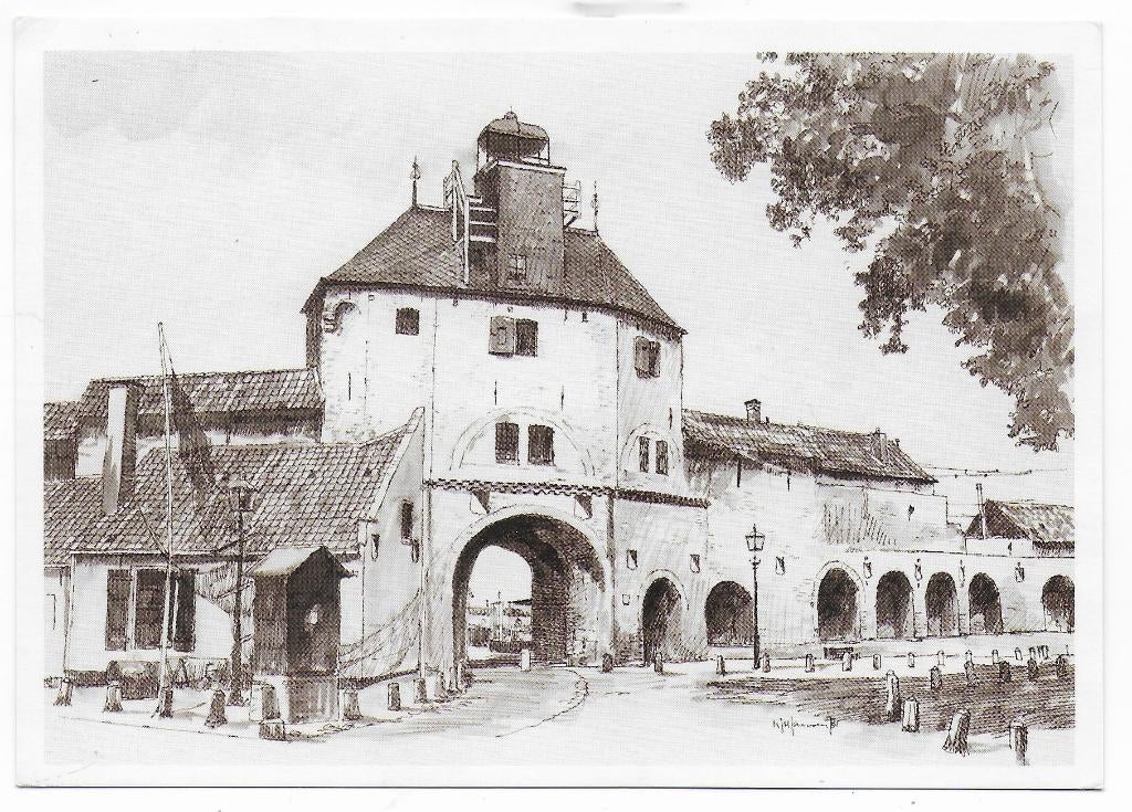 Harderwijk Vischpoort Ongelopen ansichtkaart (B7881), Ophalen of Verzenden, 1980 tot heden, Ongelopen, Gelderland