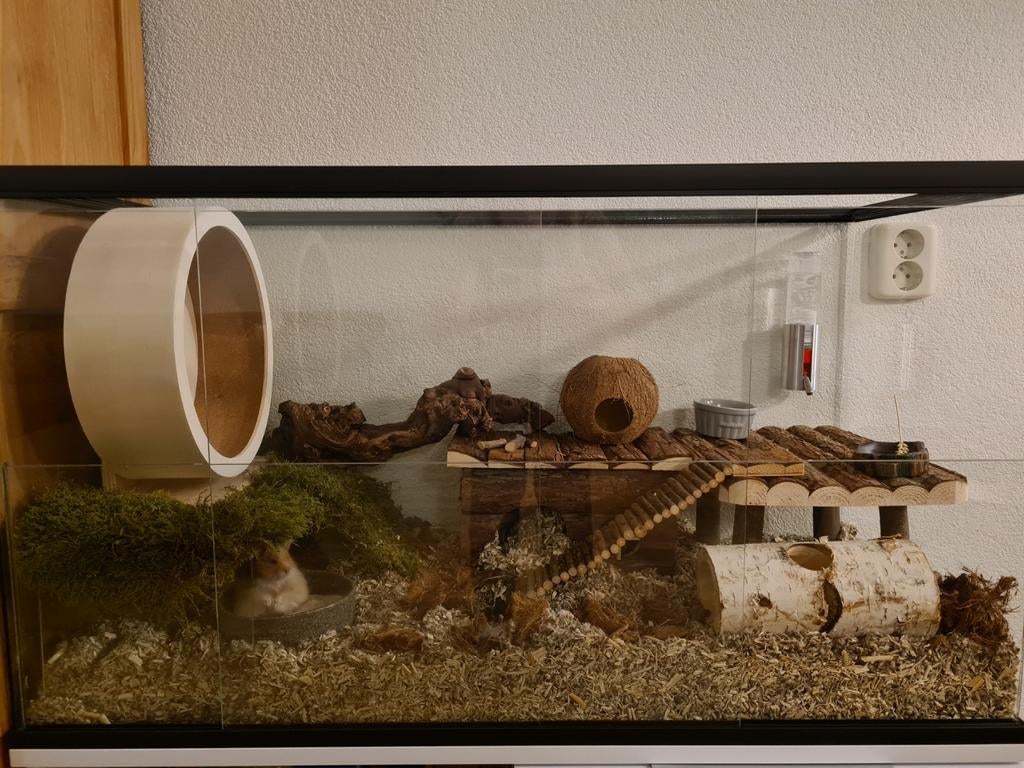 Glazen hamster terrarium (90x40x50) van Queenies, Dieren en Toebehoren, Kooi, Zo goed als nieuw, Hamster, 75 tot 110 cm
