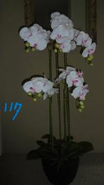 kunstplant, vlinderorchidee H117B48cm, Ophalen, Zo goed als nieuw, Binnen