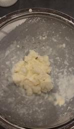 Kefir plantje/korrels, Diversen, Levensmiddelen, Ophalen