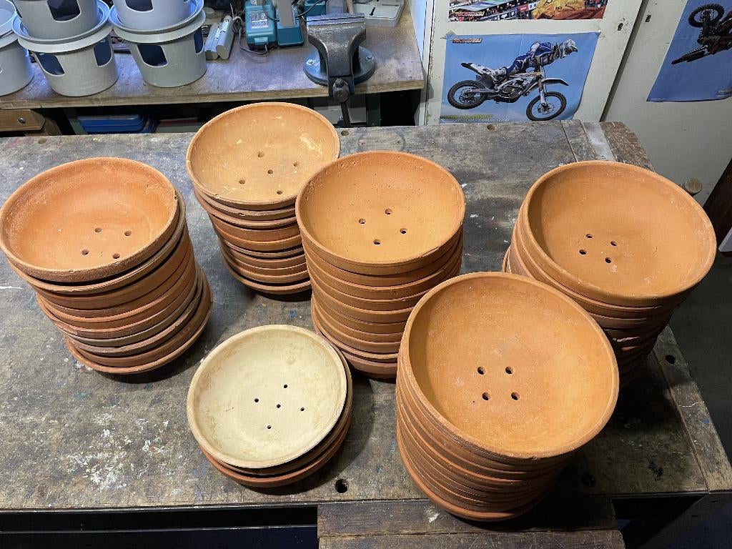 Broedschotels, Dieren en Toebehoren, Vogels | Duiven, Postduif, Meerdere dieren