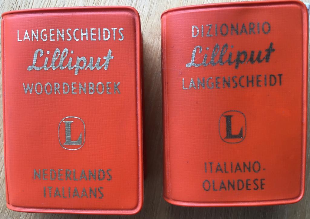 Lilliput woordenboek NL - Italiaans & Italiano - NL - ZGAN, Overige uitgevers, Ophalen of Verzenden, Zo goed als nieuw, Italiaans