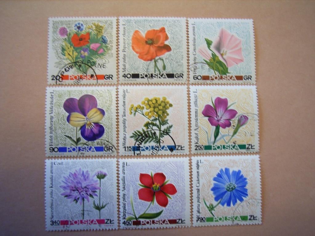 BL  Polen 1781-1789, Ophalen of Verzenden, Polen, Gestempeld