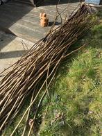 Plataantakken voor diverse projecten, Ophalen, Nieuw, 180 tot 250 cm, Overige typen