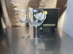 Het perfecte gin glas 2x, Verzamelen, Ophalen of Verzenden, Nieuw, Overige typen
