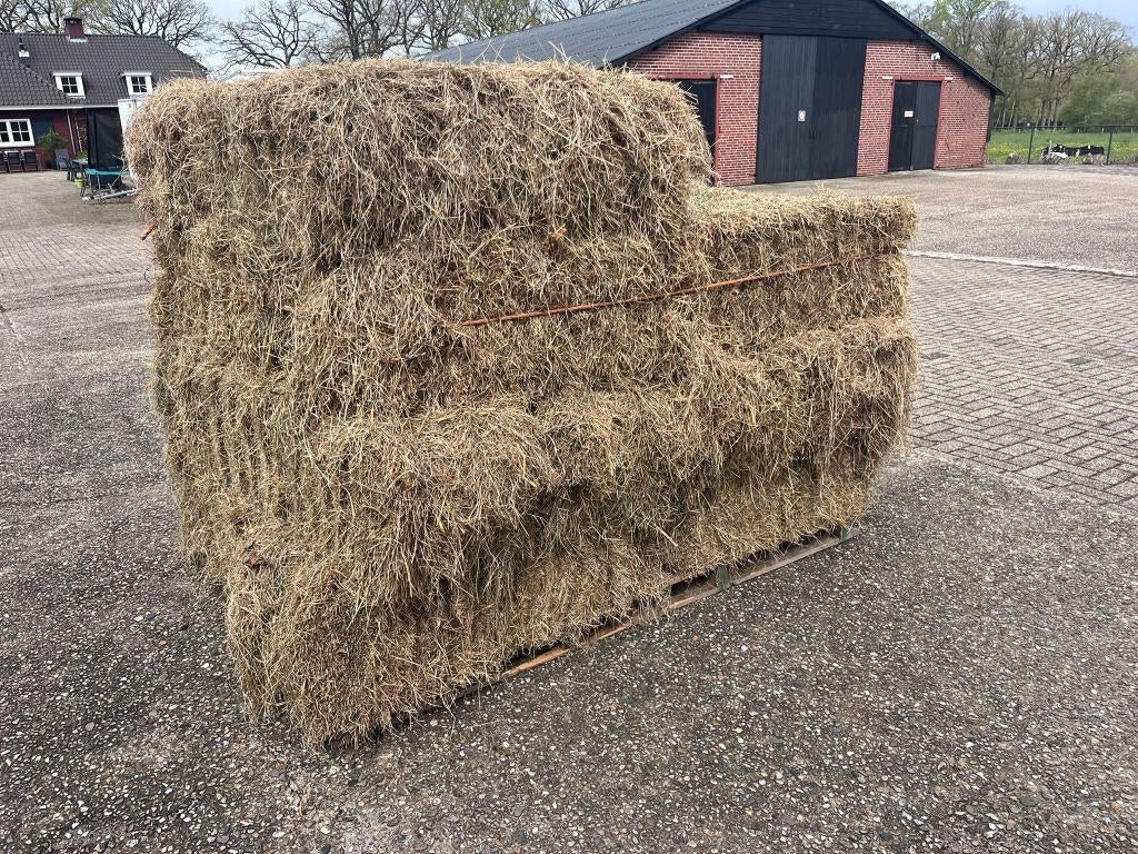Pakjes hooi, uitstekende kwaliteit, Ophalen, Vee