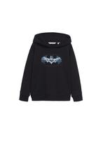 sweater van batman ( 140 ), Ophalen of Verzenden, Zo goed als nieuw, Jongen, Trui of Vest