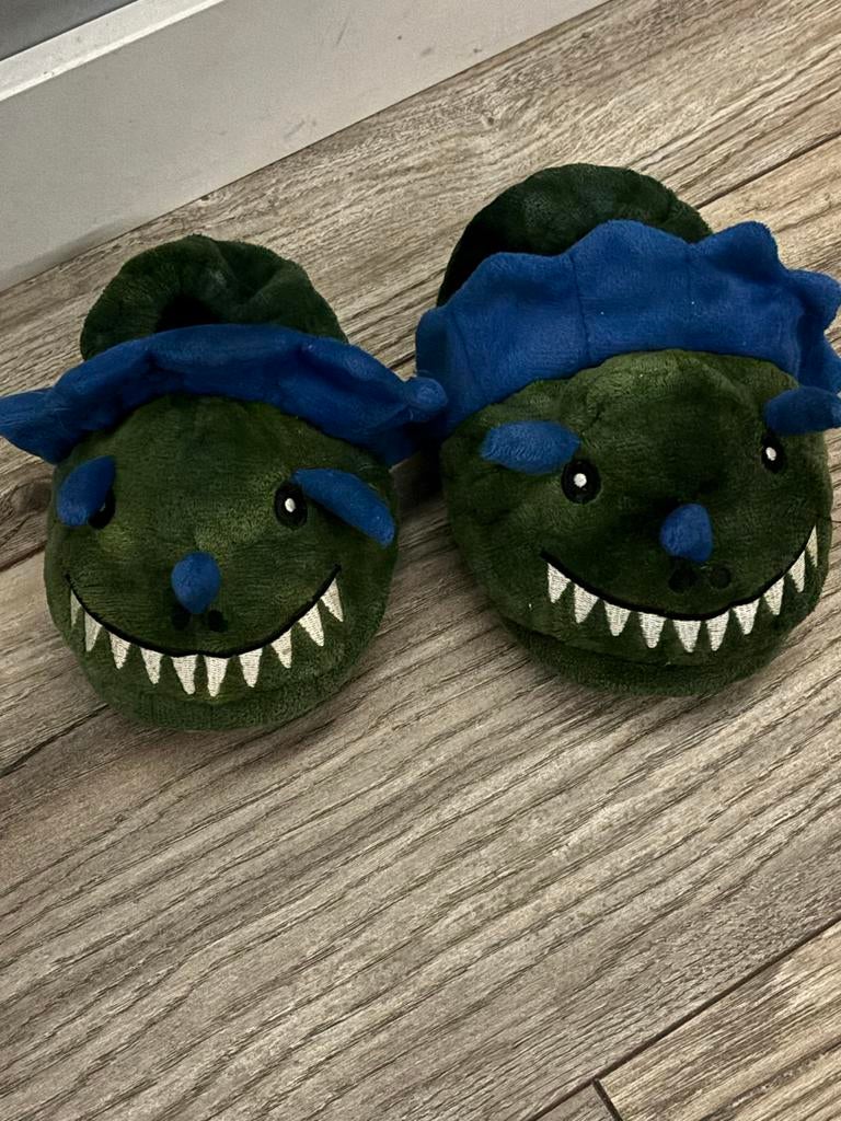 Dino sloffen, Jongen of Meisje, Overige typen, Ophalen of Verzenden, Zo goed als nieuw