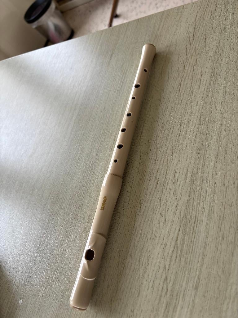 Yamaha dwarsfluit (kunststof), Muziek en Instrumenten, Blaasinstrumenten | Dwarsfluiten en Piccolo's, Ophalen of Verzenden, Zo goed als nieuw