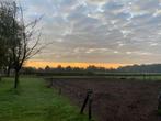 Unieke stalplek beschikbaar in Haaksbergen voor een ruin., Dieren en Toebehoren, Stalling en Weidegang, Weidegang, 1 paard of pony