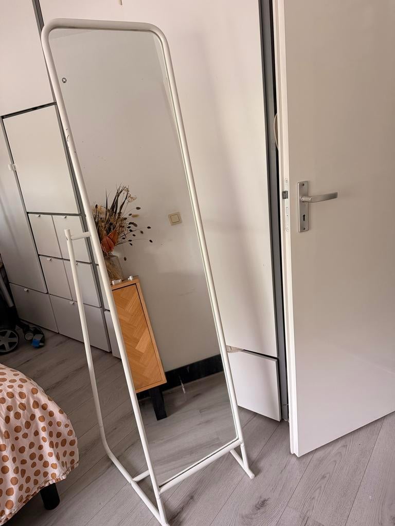 GRATIS passpiegel met standaard en haken, Ophalen, Minder dan 50 cm, Gebruikt, 150 tot 200 cm