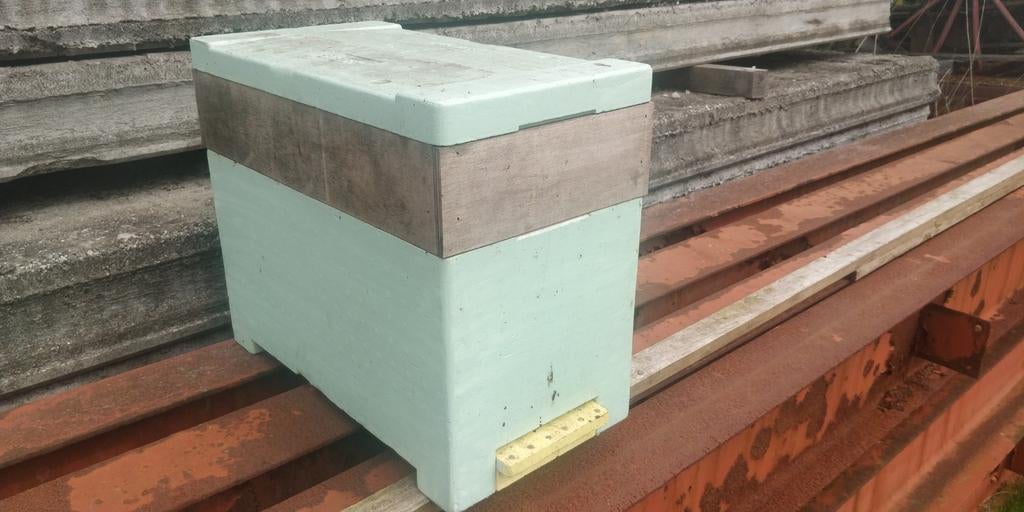 Gezocht: Stehr 6 raams bijenkasten, Bijen