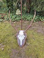 Edelhert gewei op schild overkapping jacht hut landelijk, Ophalen, Gebruikt, Hert, Gewei of Kop