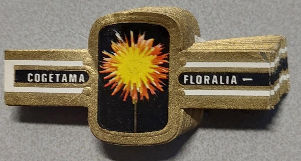 Sigarenbandjes, Ophalen of Verzenden, Gebruikt, Sigarenbandjes