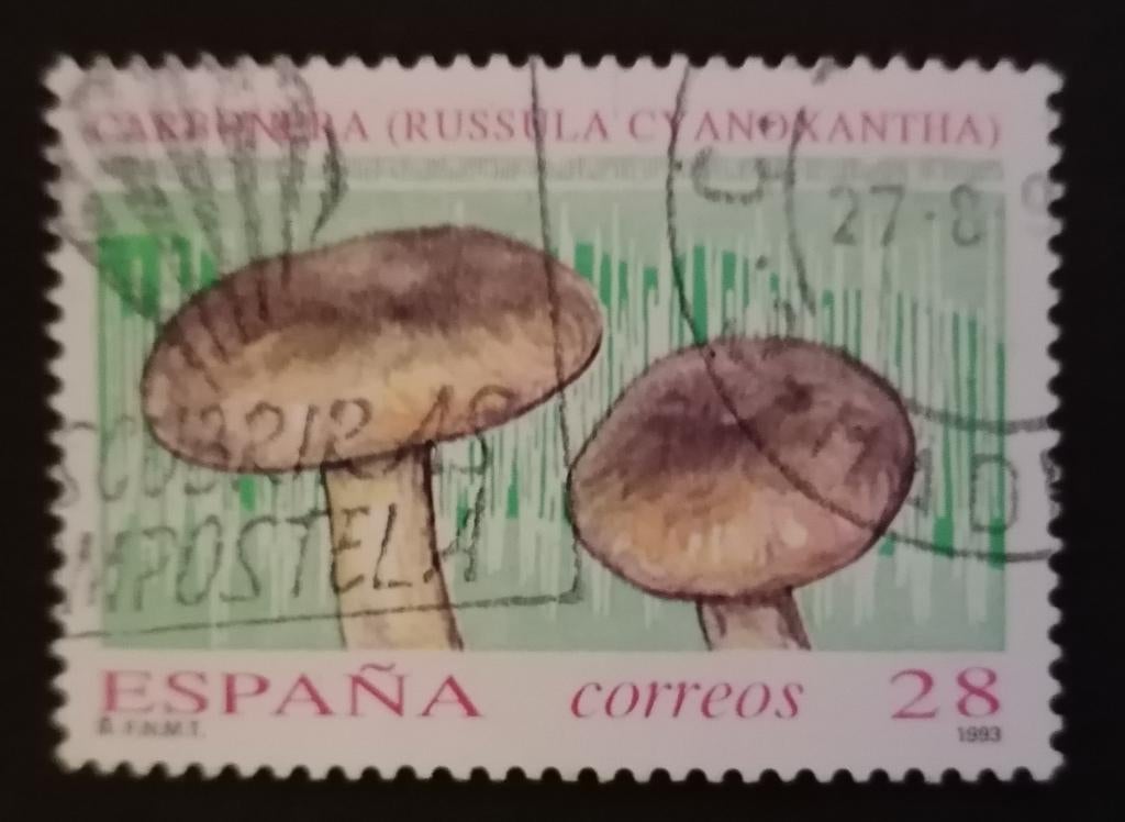 SPANJE - paddestoelen 1993, Verzenden, Gestempeld