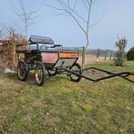 Shetlander menwagen, Ophalen of Verzenden, Gebruikt