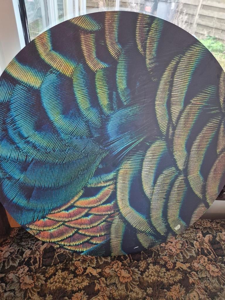 Rond schilderij met pauwenveren print, Huis en Inrichting, Woonaccessoires | Wanddecoraties, Ophalen of Verzenden, Gebruikt
