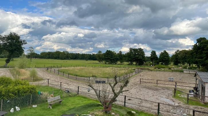 Paddock Paradise te huur (tijdelijk) - eigen beheer, Dieren en Toebehoren, Stalling en Weidegang, Stalling, Weidegang, 4 paarden of pony's of meer