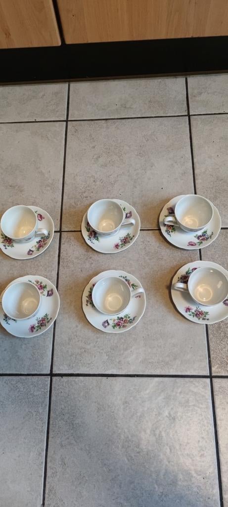 CZECHOSLOVSKIA porselein servies, Ophalen of Verzenden