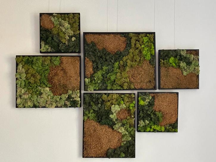 Mos schilderij 150x120cm, Antiek en Kunst, Kunst | Overige Kunst, Ophalen