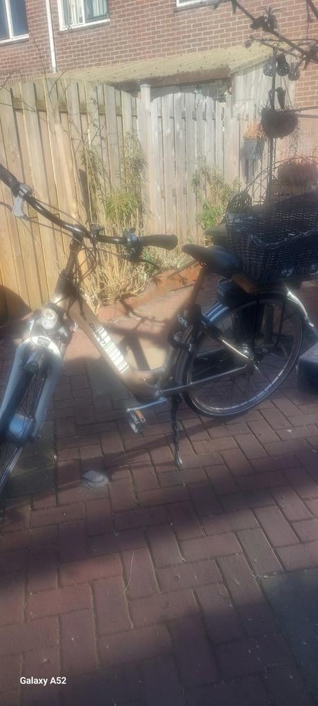 Giant Elektrische Fiets met Hondenmand, Gebruikt, 51 tot 55 cm, 30 tot 50 km per accu, Giant