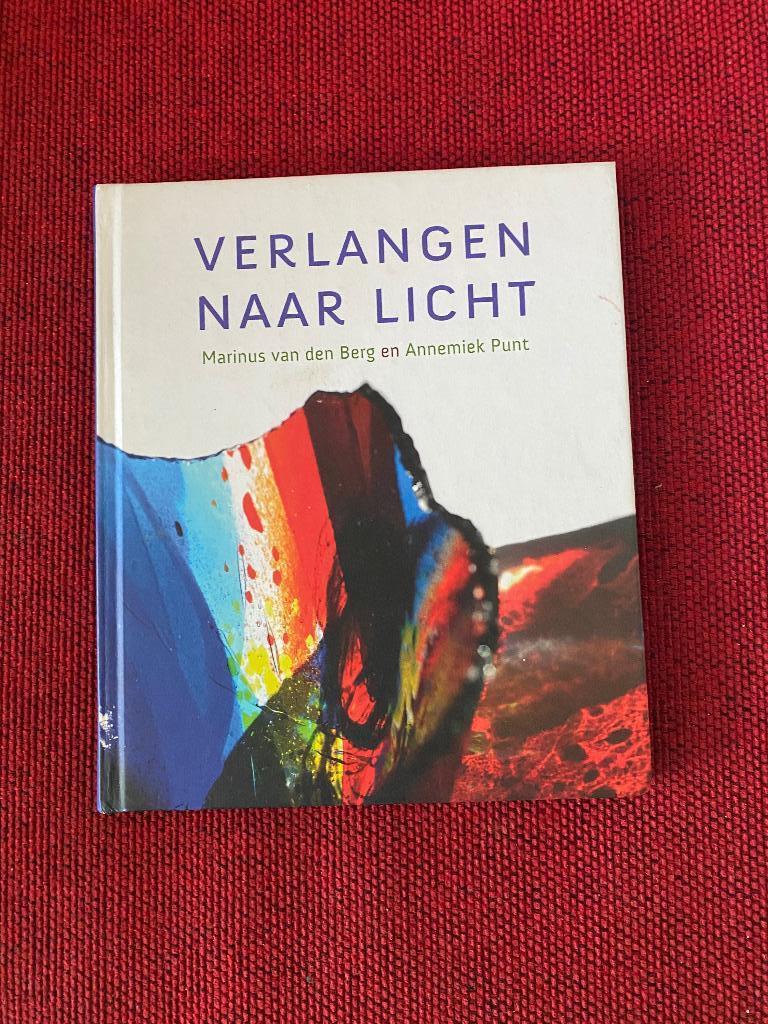 Verlangen naar Licht, Diverse auteurs, Ophalen of Verzenden, Zo goed als nieuw, Logica of Wetenschapsfilosofie