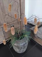 Zijde plant met pot, moet weg, Ophalen of Verzenden, Zo goed als nieuw