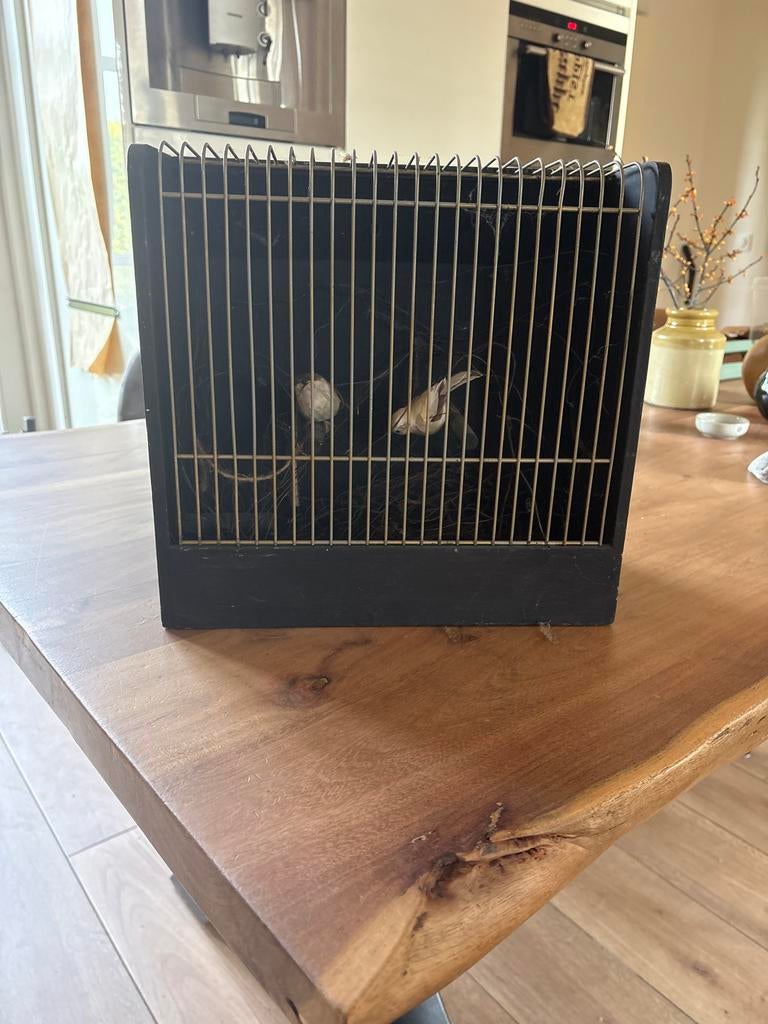 Decoratieve vogelkooi, Ophalen, Metaal, Vogelkooi