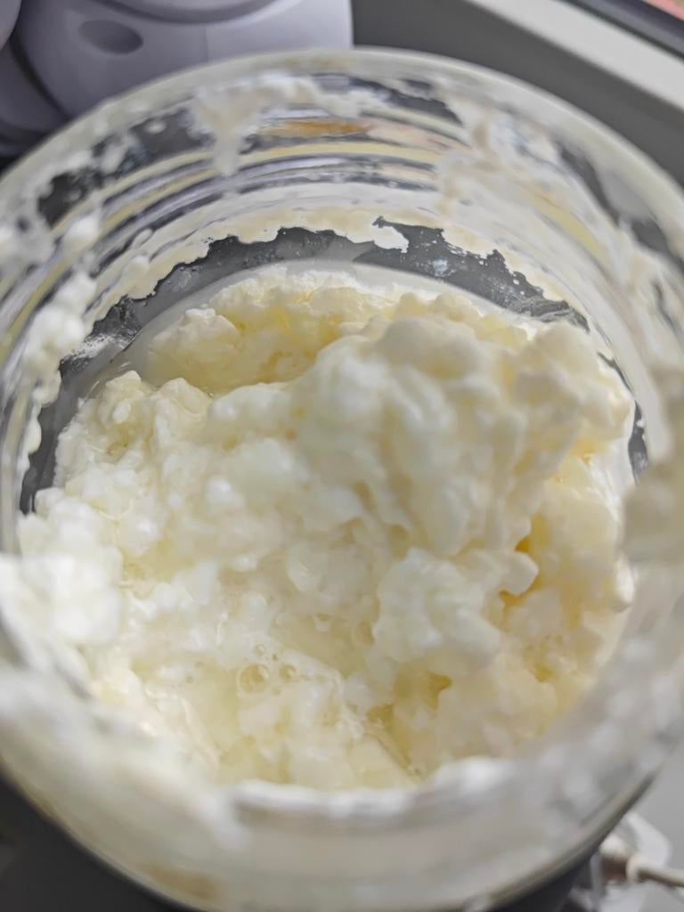 Gratis melk kefir korrels ophalen, Ophalen