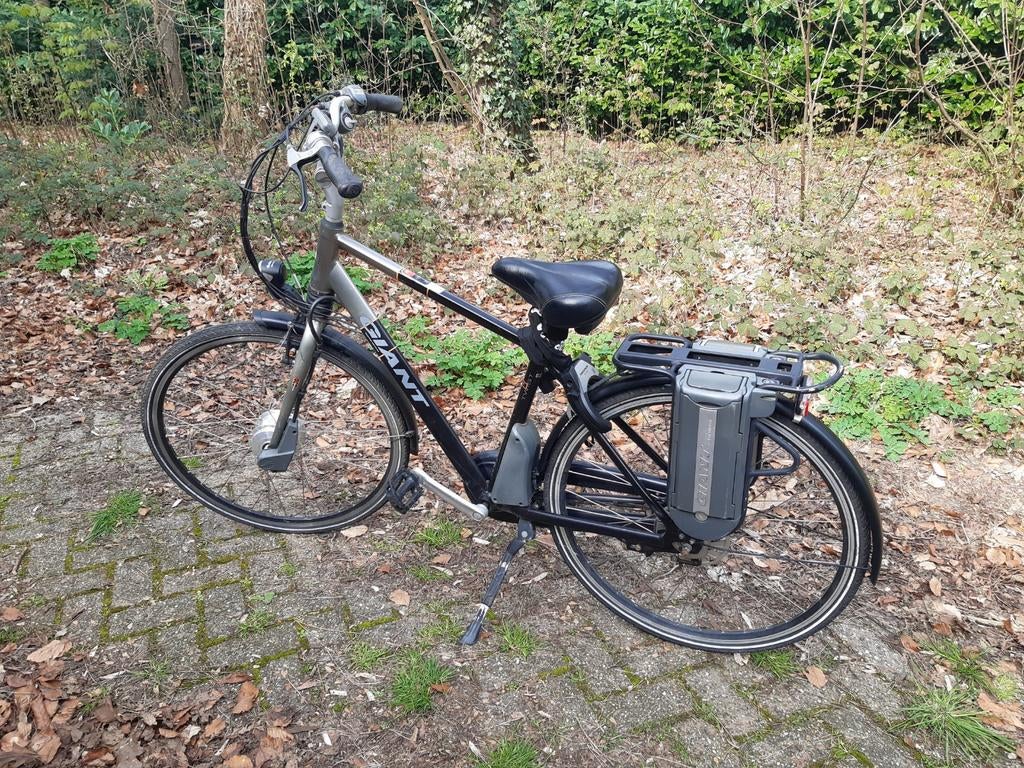 Giant Twist elektrische fiets met 2 accu's en lader, Ophalen of Verzenden