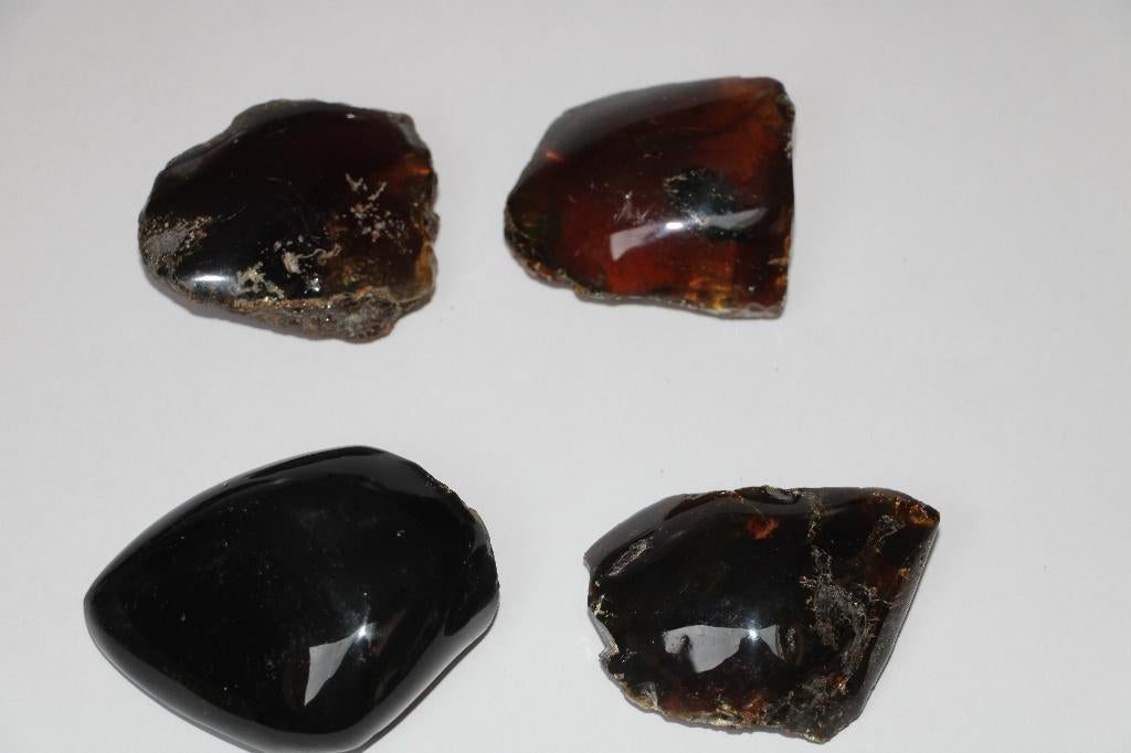 Amber (4 pcs), Ophalen of Verzenden, Fossiel