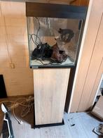 Sera scaper cube 64 liter aqaurium met kast, Ophalen, Verwarming, Sera, Zo goed als nieuw