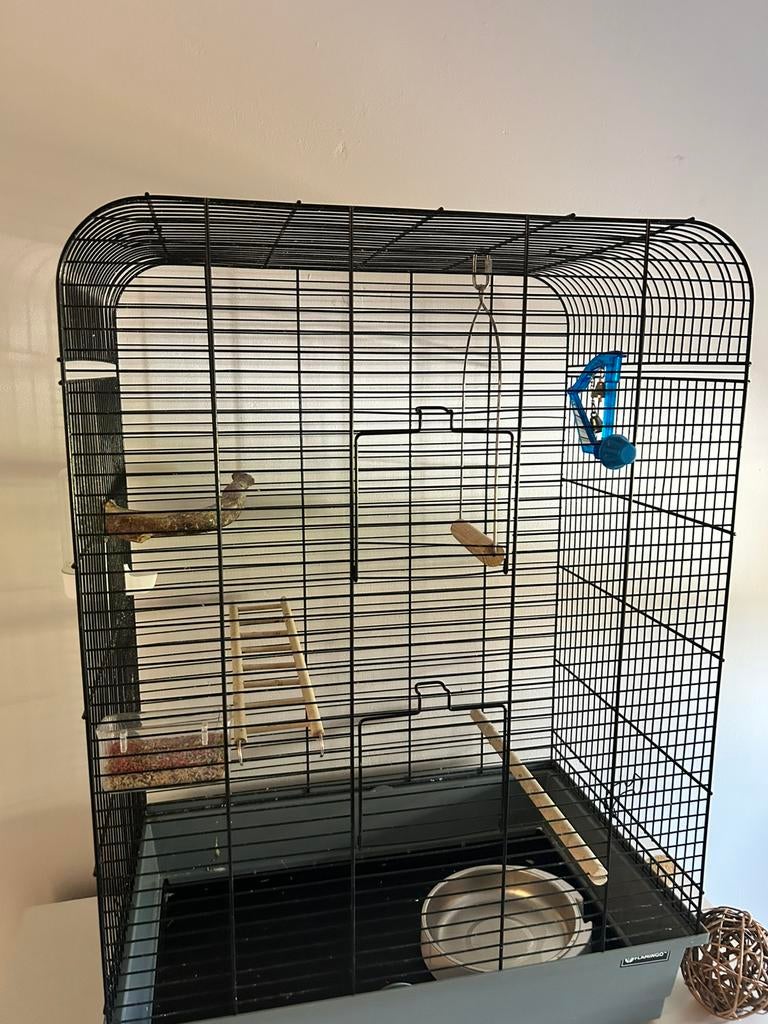 Vogelkooi kanarie, Dieren en Toebehoren, Vogels | Hokken en Kooien, *, Zo goed als nieuw, *, Vogelkooi