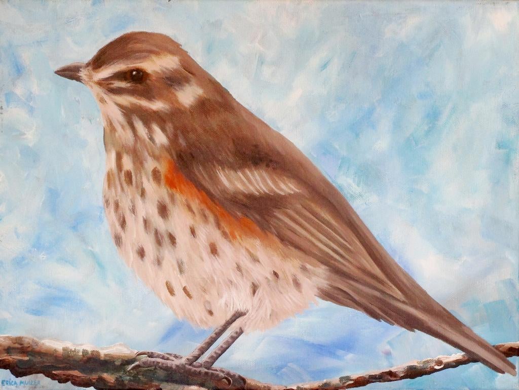 Schilderij van een vogel: de koperwiek, Ophalen of Verzenden