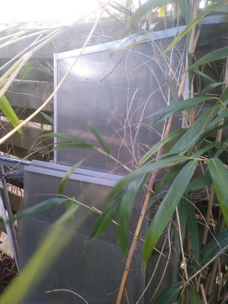 tuinkas, Tuin en Terras, Kassen, Gebruikt, Kweekkas, Staal, Overige materialen, Ophalen