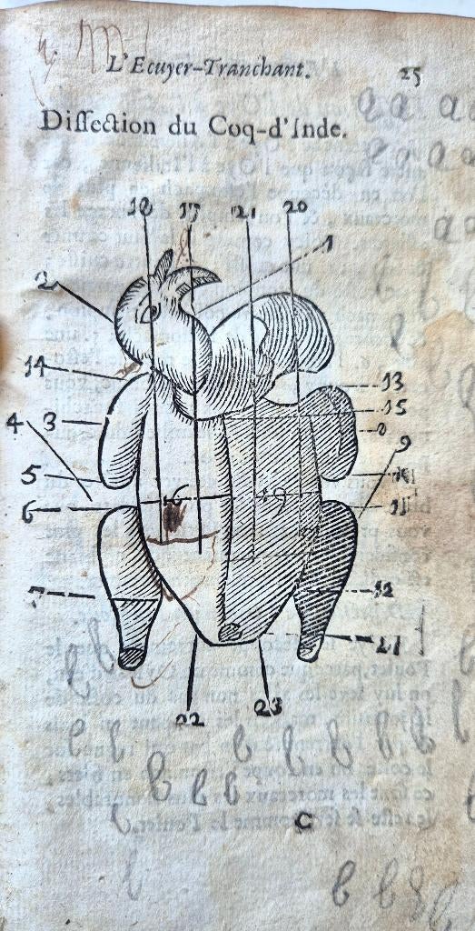 Oud Frans kookboek 18e eeuw met houtsneden, Antiek en Kunst, Antiek | Boeken en Bijbels, Verzenden