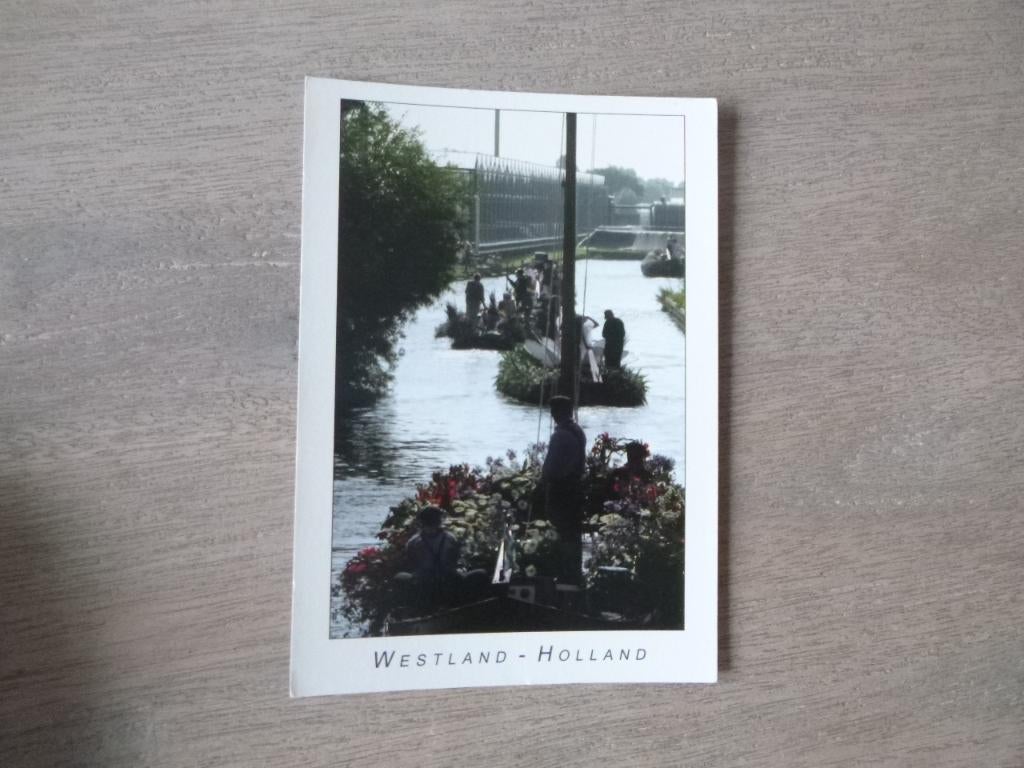 Westland, veiling/bloemen/boten, Verzenden, 1980 tot heden, Noord-Holland