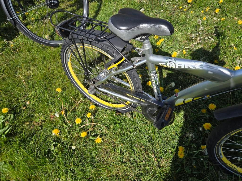 Stoere Batavus Snake kinderfiets - 20 inch, Fietsen en Brommers, Fietsen | Jongens, Gebruikt, Velgrem, Ophalen of Verzenden, Handrem