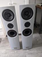 Loewe luidsprekers 80 tot 120 watt, Audio, Tv en Foto, Luidsprekers, Gebruikt, 60 tot 120 watt, Front, Rear of Stereo speakers