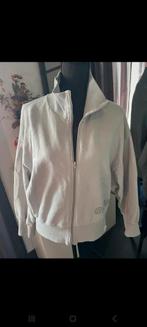 Penn en Ink, Kleding | Dames, Truien en Vesten, Ophalen of Verzenden, Zo goed als nieuw, Maat 46/48 (XL) of groter