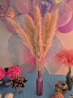7 pampas grass dry flowers natural, Ophalen of Verzenden, Zo goed als nieuw