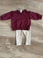 Setje sweater met legging maat 74 H&M, Kinderen en Baby's, Ophalen, Zo goed als nieuw, Meisje