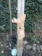 Mooie natuur broedblokjes, Meerdere dieren, Wildzangvogel, Geringd